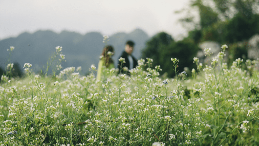 Obtención de la Visa a la Llegada en Vietnam para Ciudadanos Españoles: Guía Paso a&nbsp;Paso